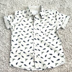 NWT Day&Age Dino Print Kids Buttondown Shirt - Gray and Green